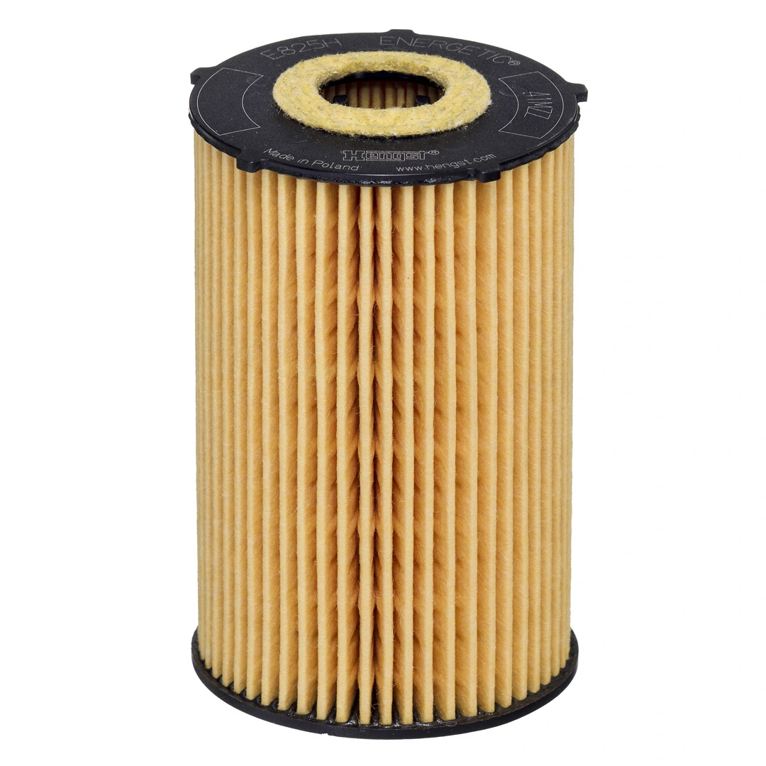 Oil Filter E825H D265