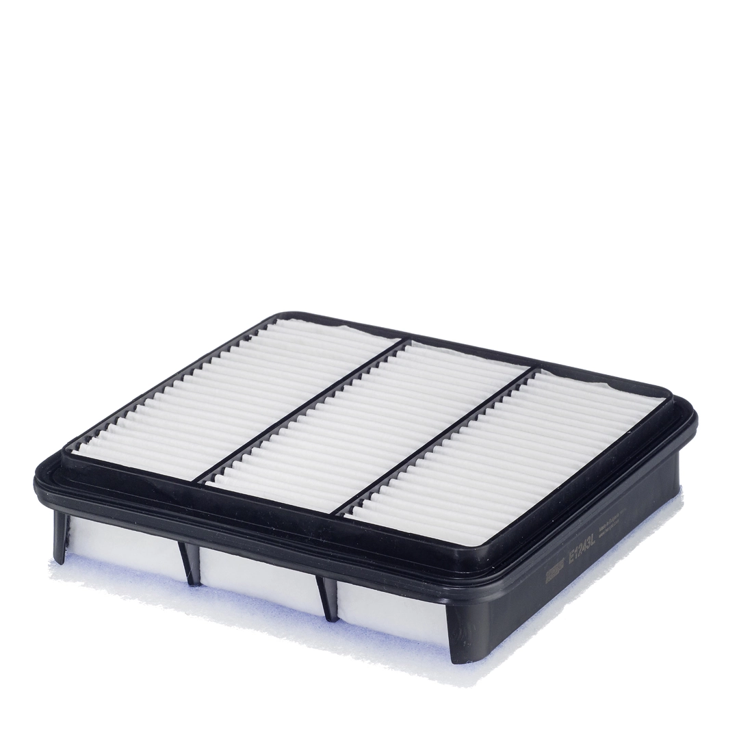 Air Filter E1243L