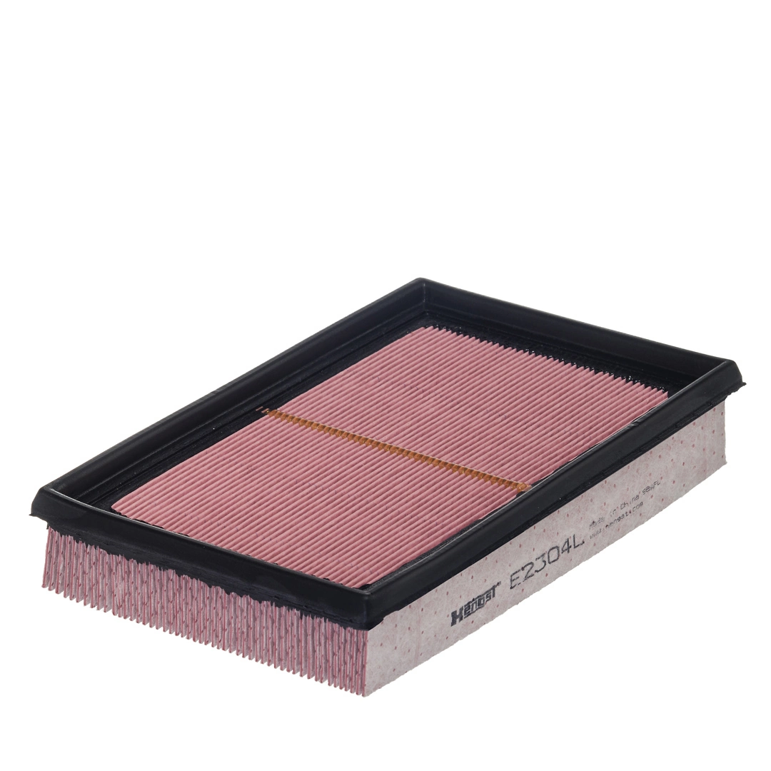Air Filter E2304L