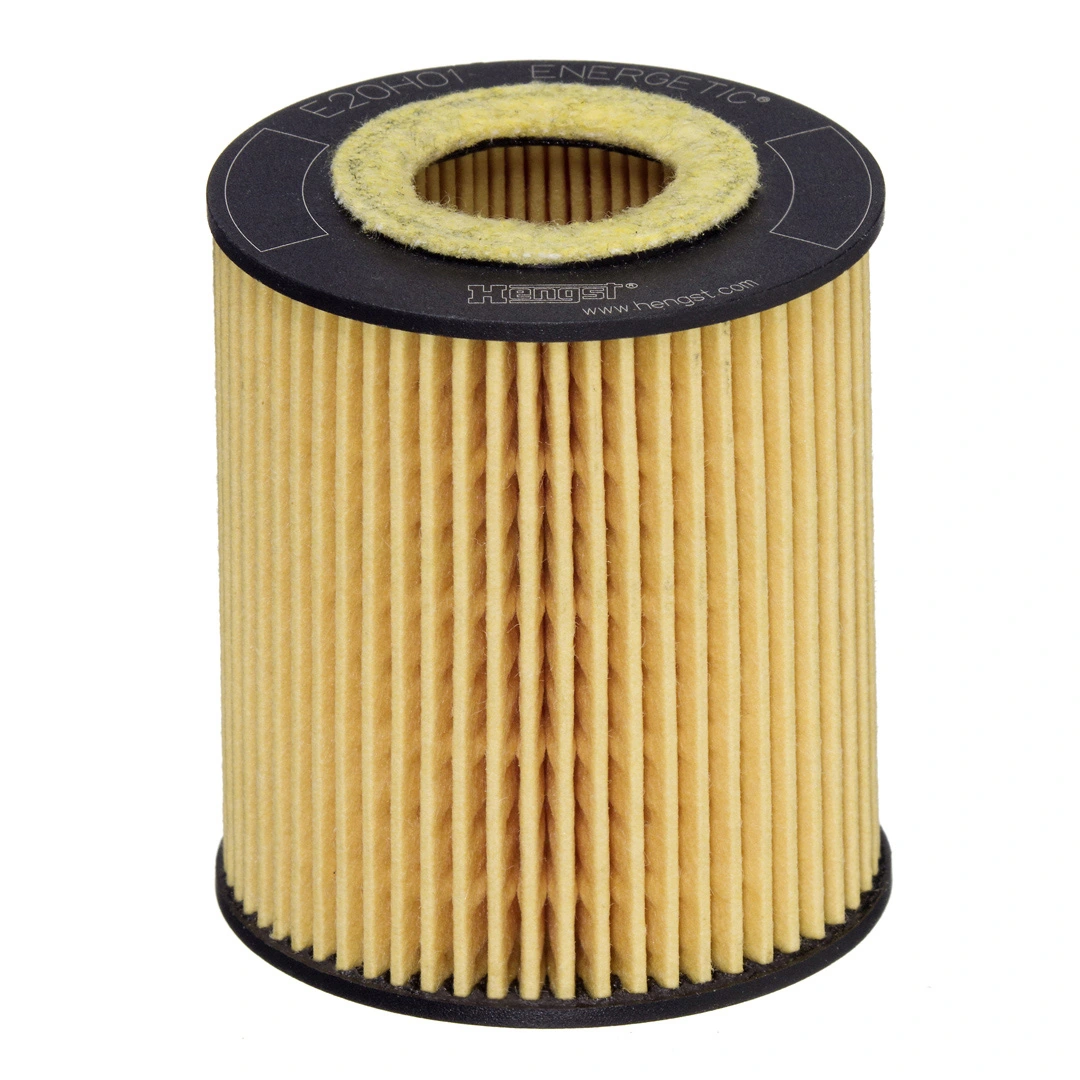 Oil Filter E20H01 D293