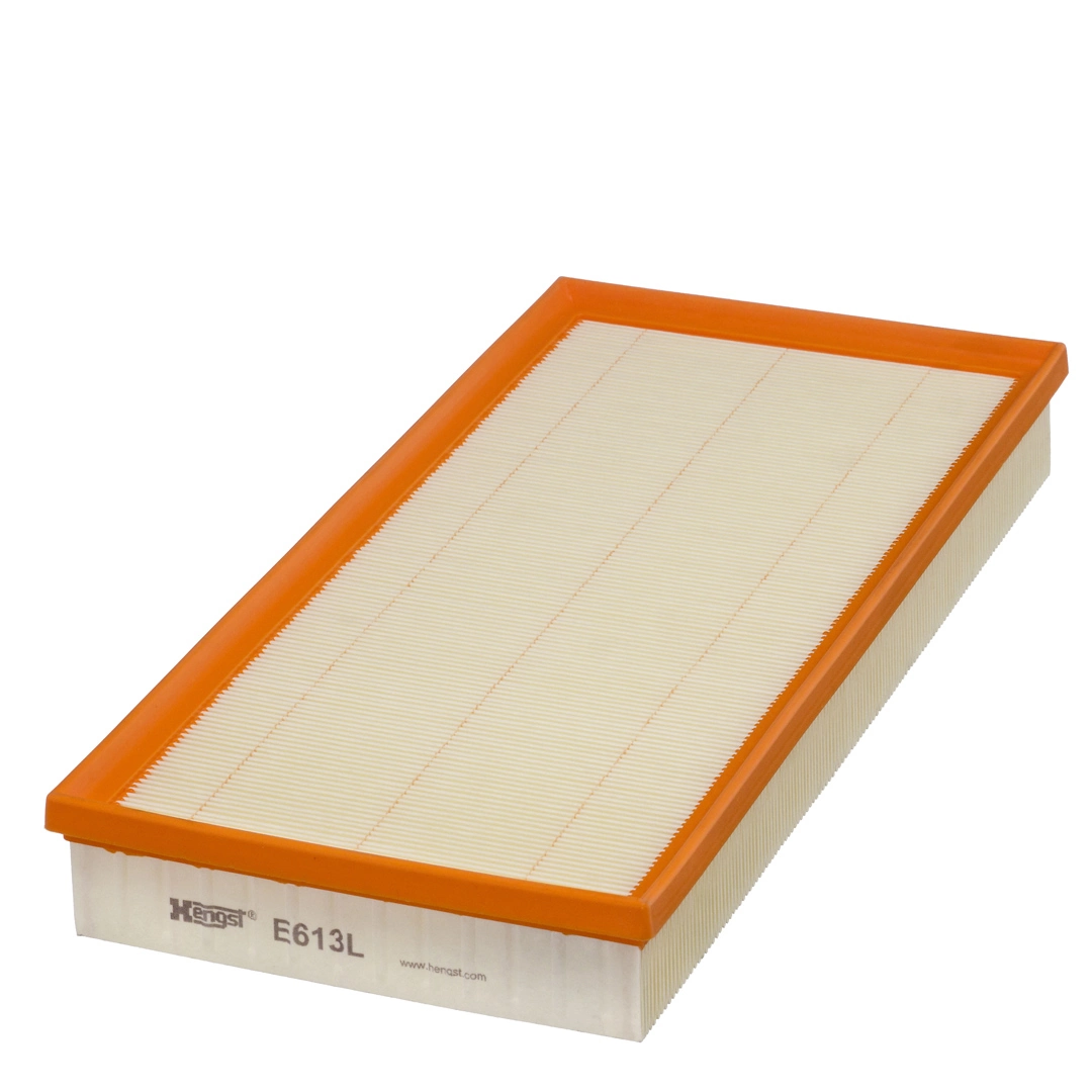 Air Filter E613L