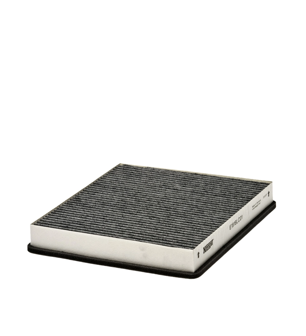 Filter, cabin air E1916LC01