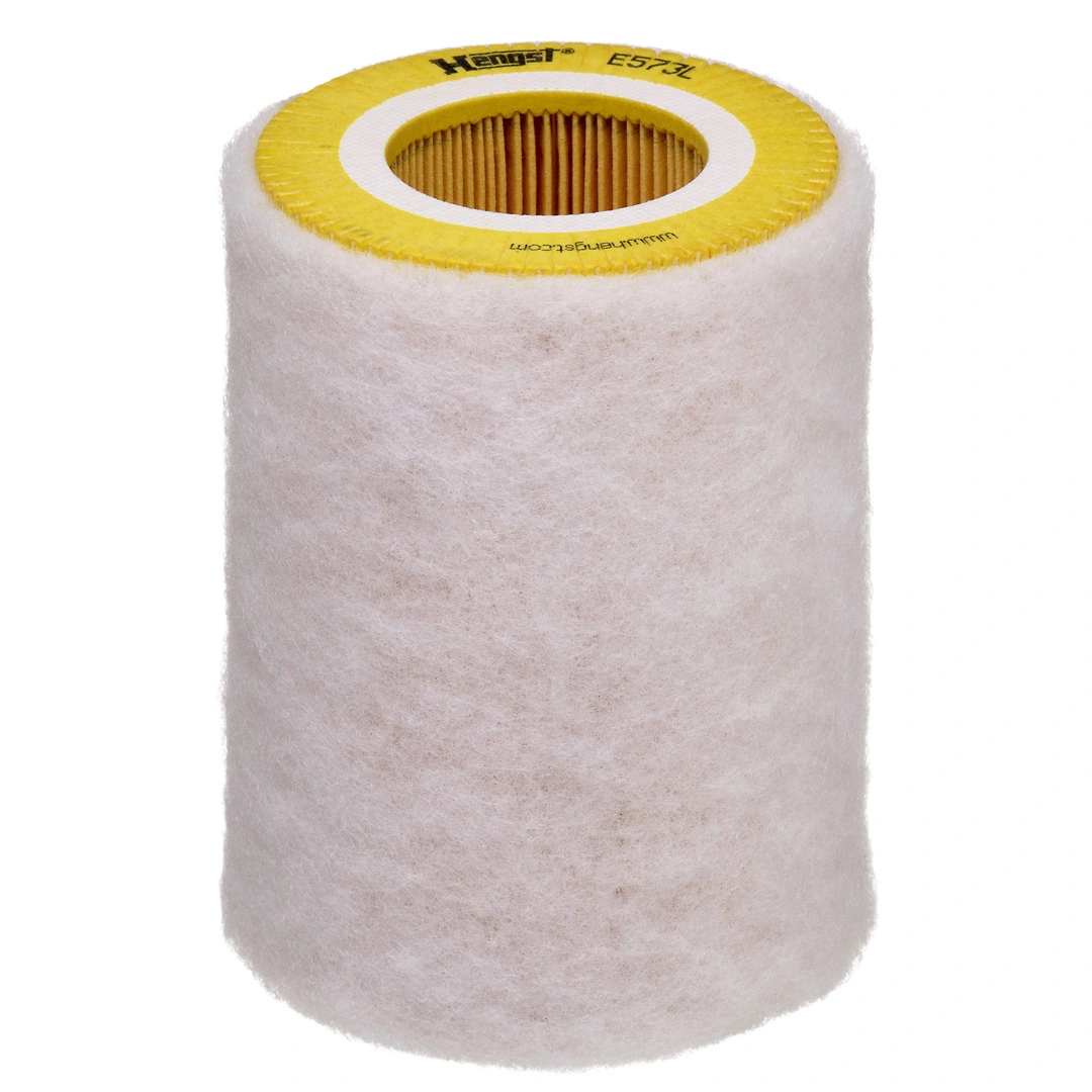 Air Filter E573L