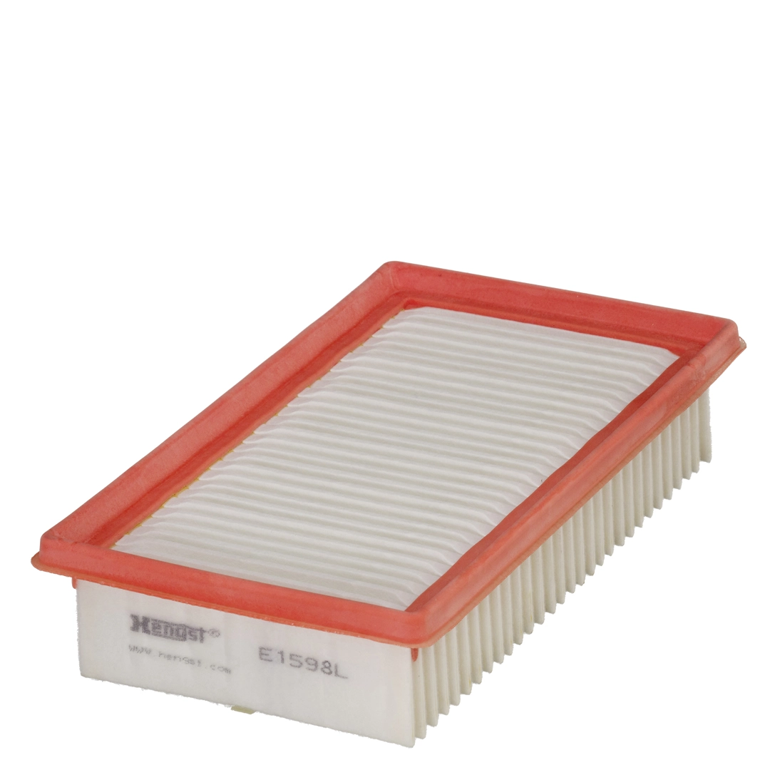 Air Filter E1598L