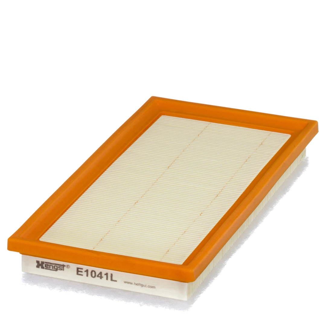 Air Filter E1041L