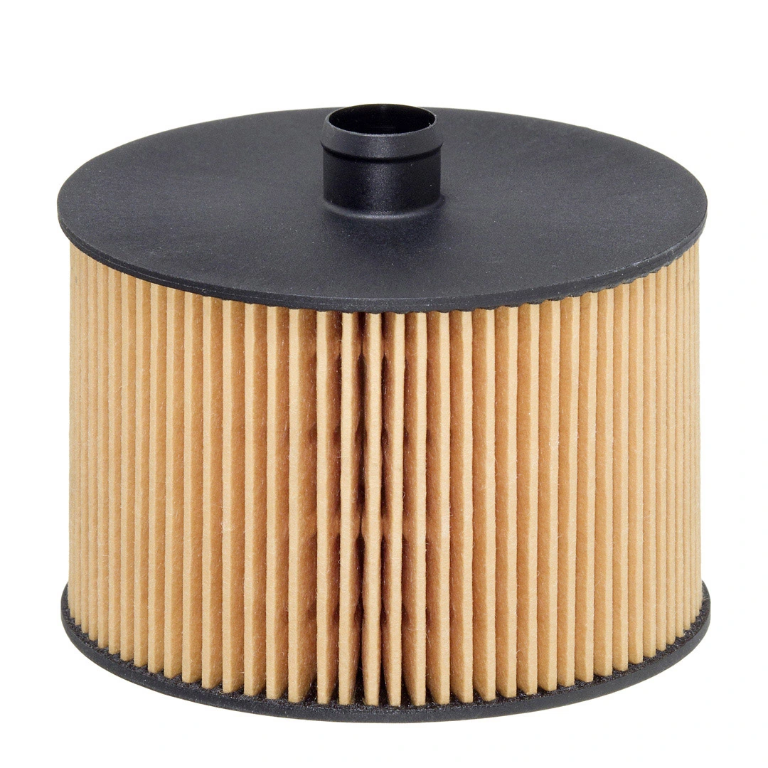 Fuel Filter E79KP D118