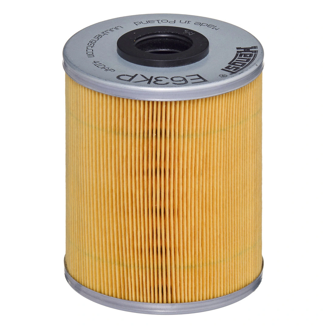 Fuel Filter E63KP D78