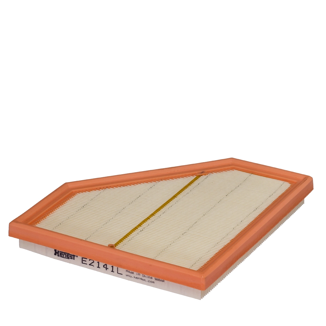 Air Filter E2141L