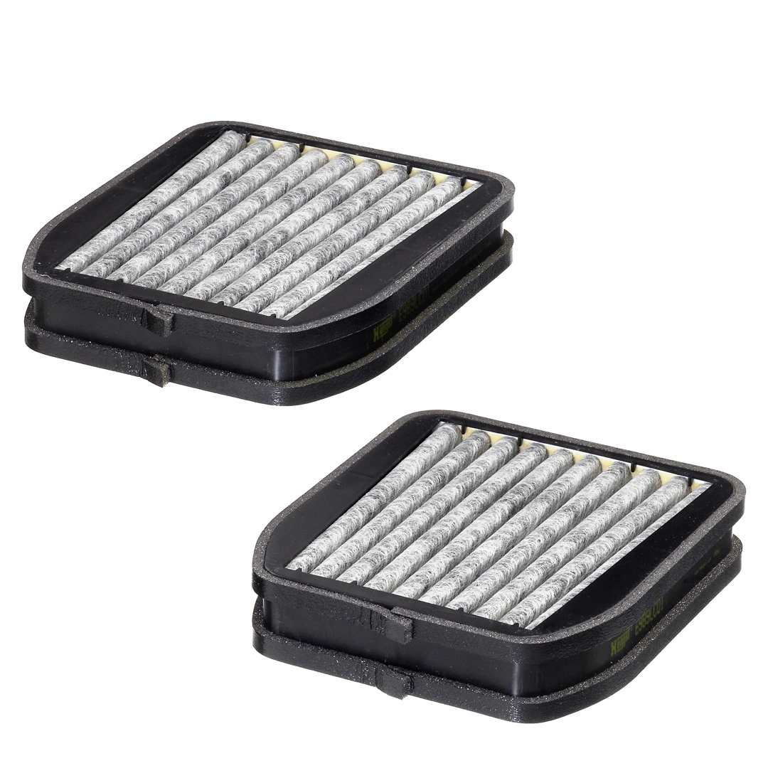 Filter, cabin air E989LC01-2