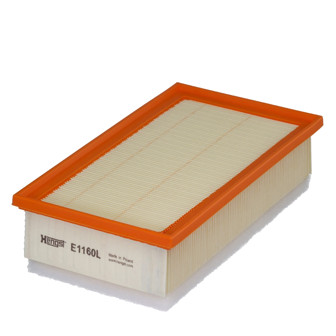 Air Filter E1160L