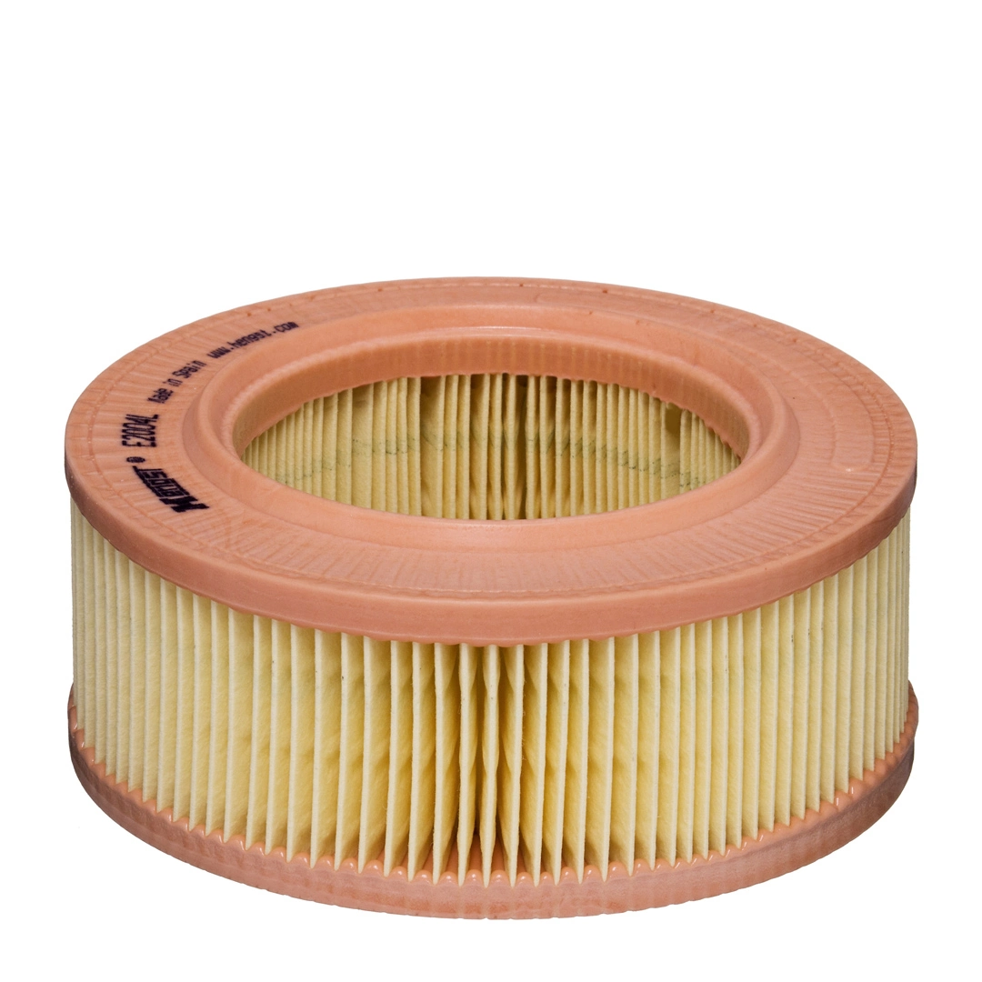 Air Filter E2004L