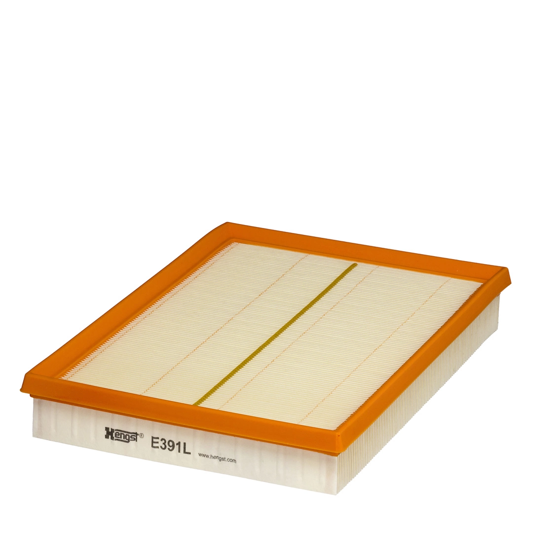 Air Filter E391L