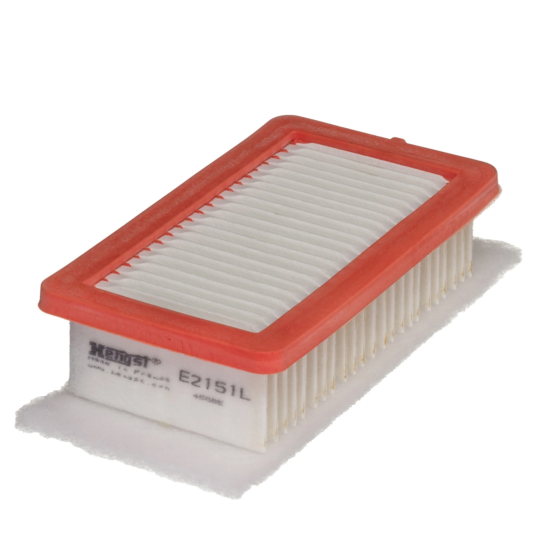 Air Filter E2151L