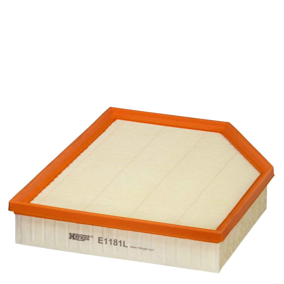 Air Filter E1181L