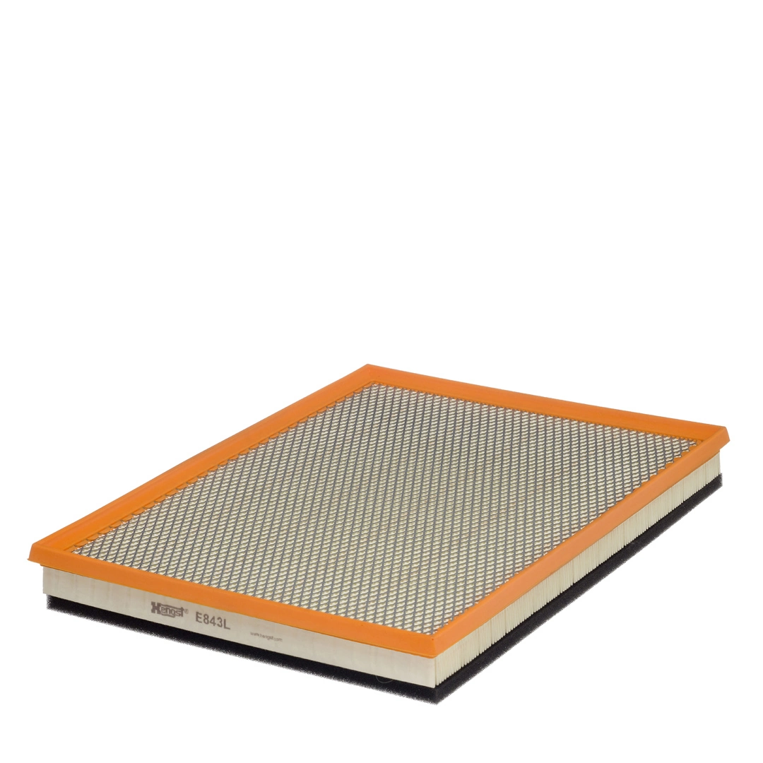 Air Filter E843L