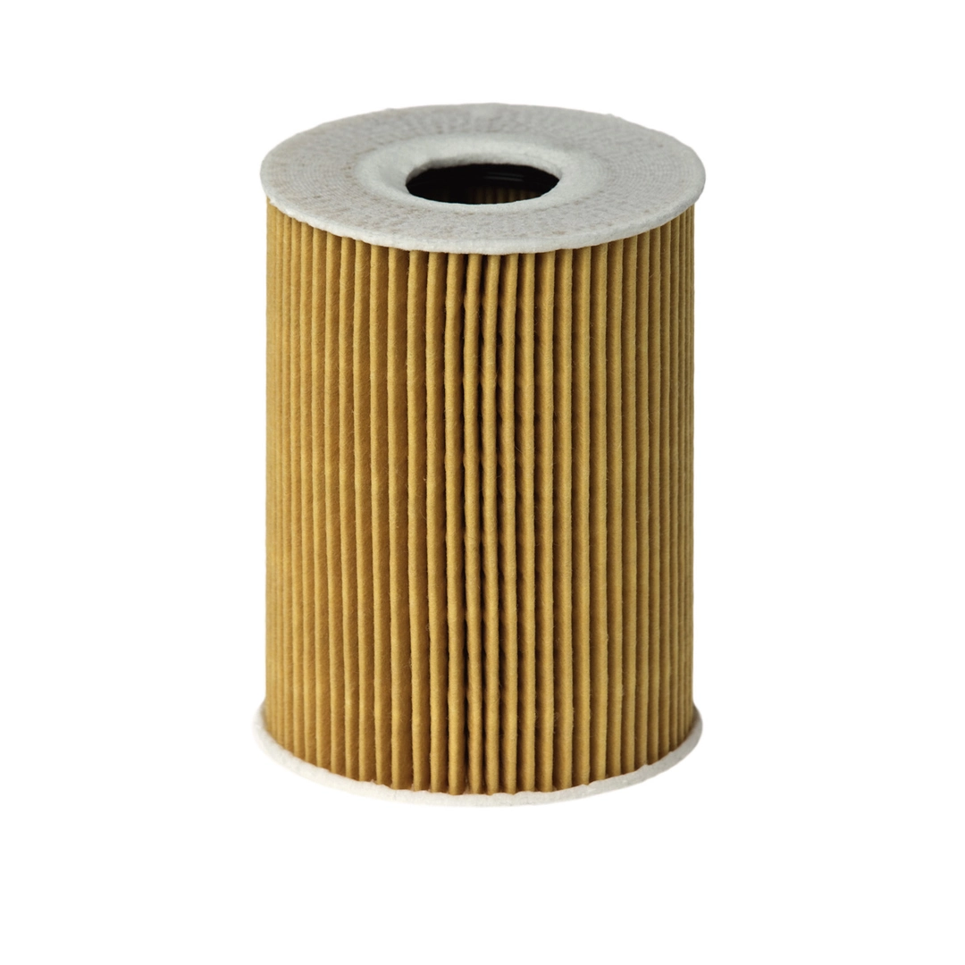 Oil Filter E113H D181
