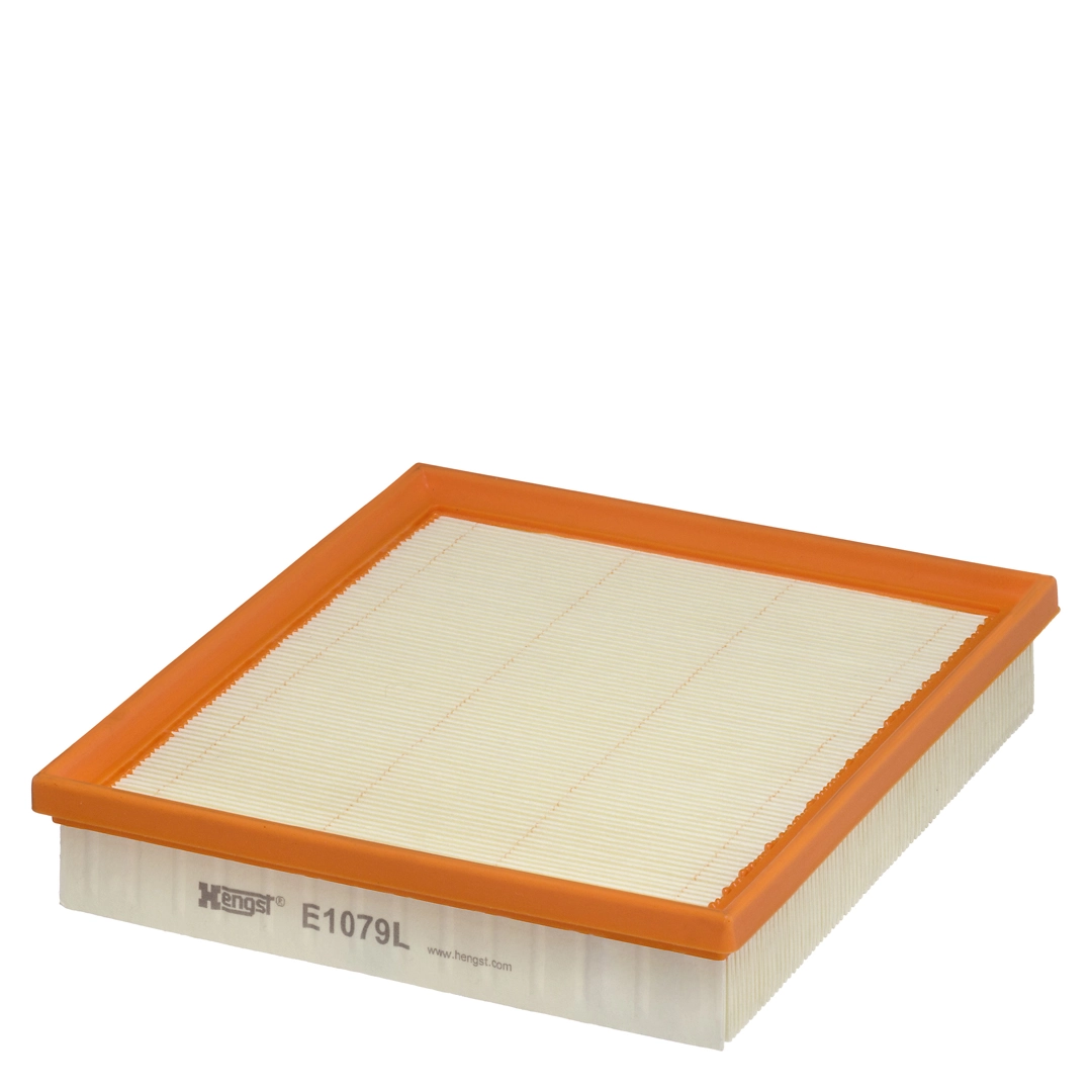 Air Filter E1079L
