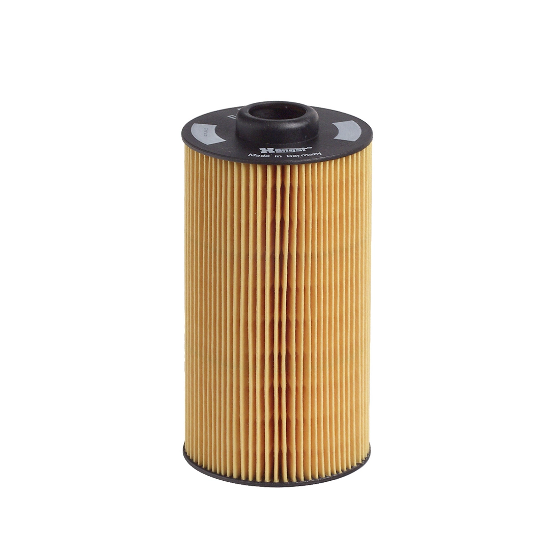 Oil Filter E202H01 D34