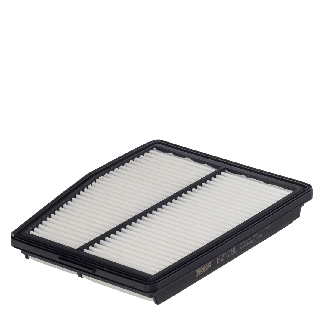 Air Filter E2178L