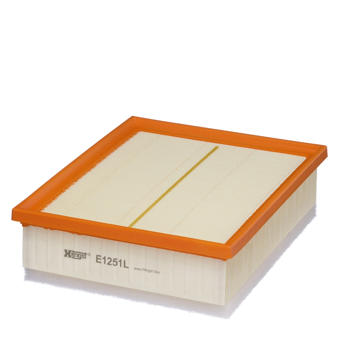 Air Filter E1251L