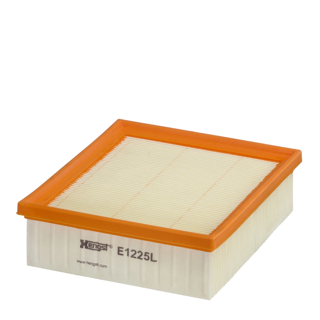 Air Filter E1225L