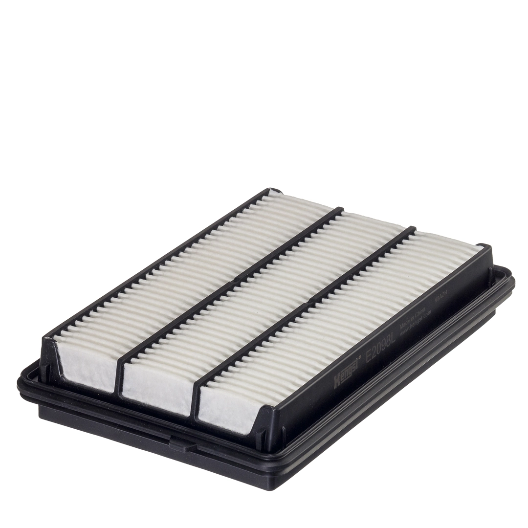 Air Filter E2098L
