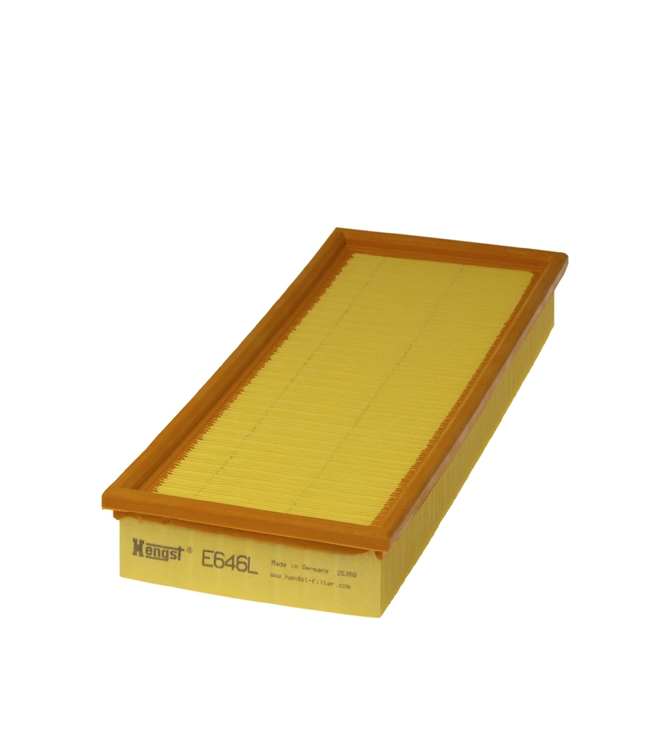 Air Filter E646L