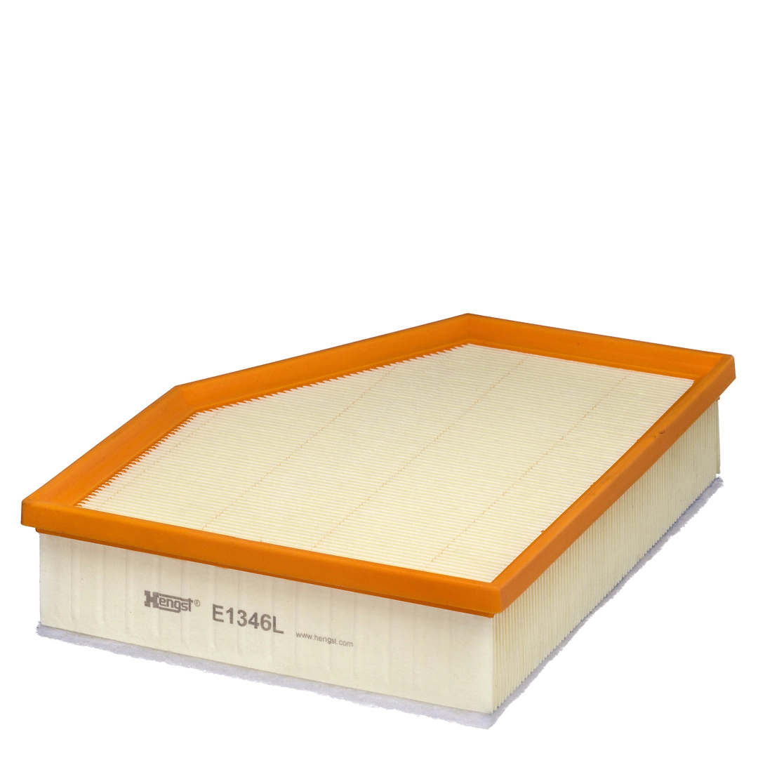Air Filter E1346L