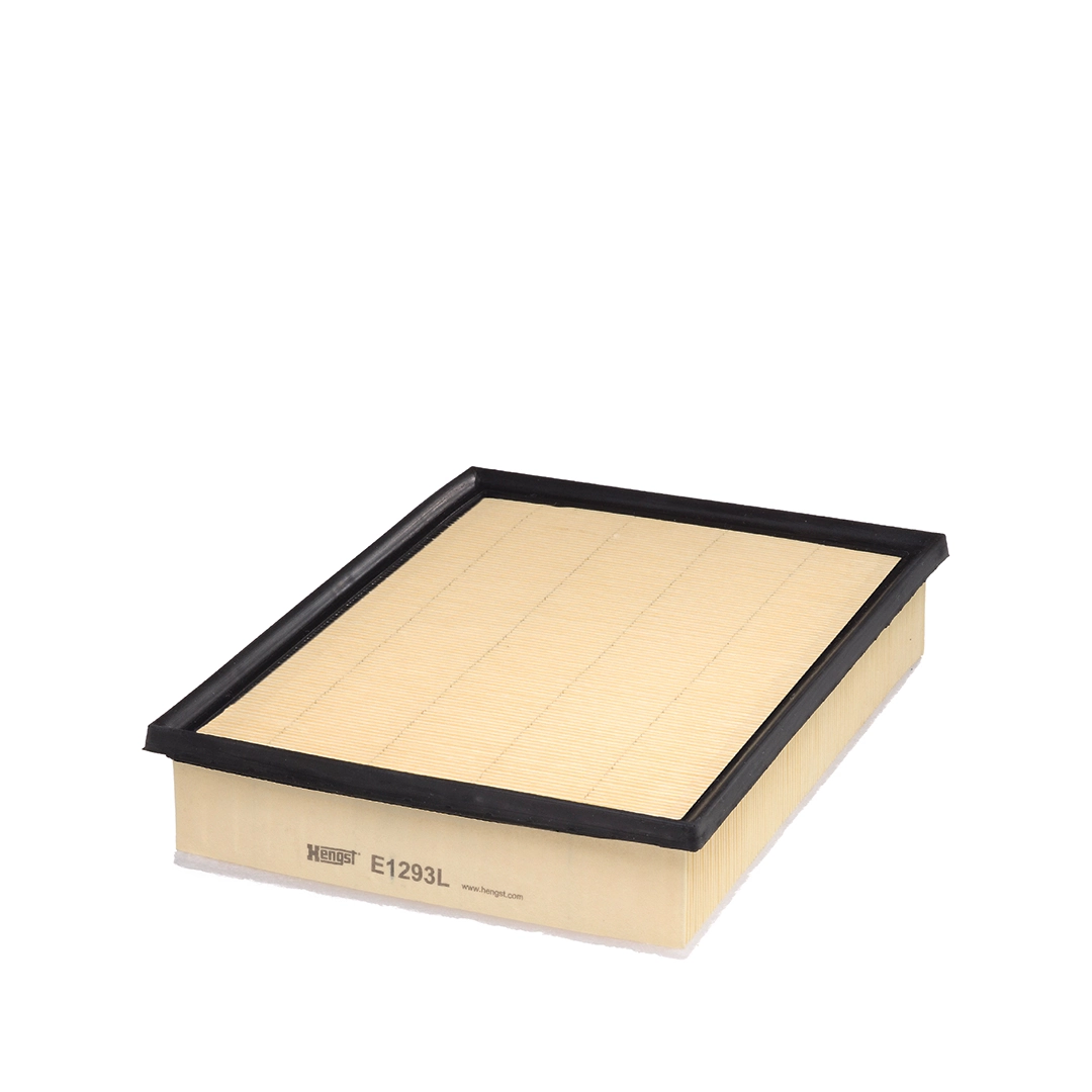 Air Filter E1293L