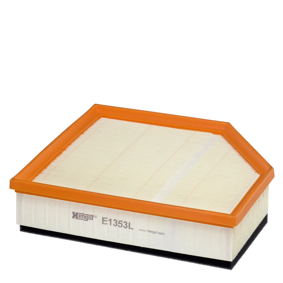 Air Filter E1353L