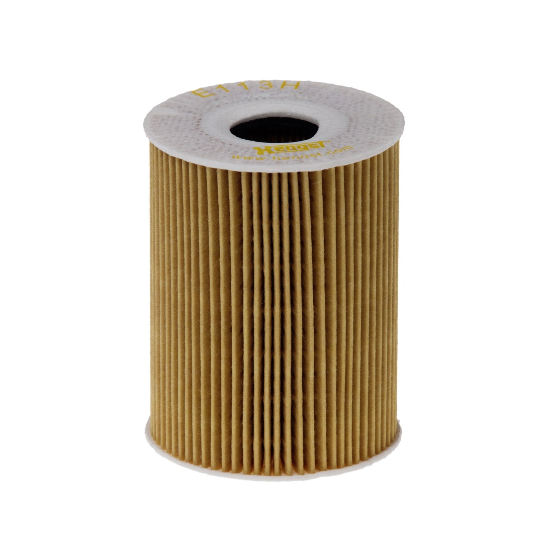 Oil Filter E113H D235