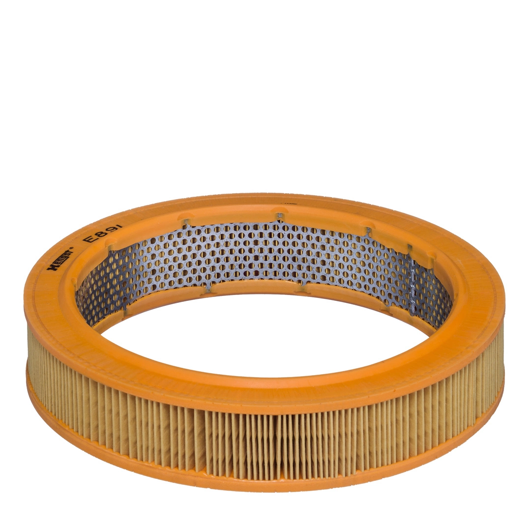 Air Filter E89L