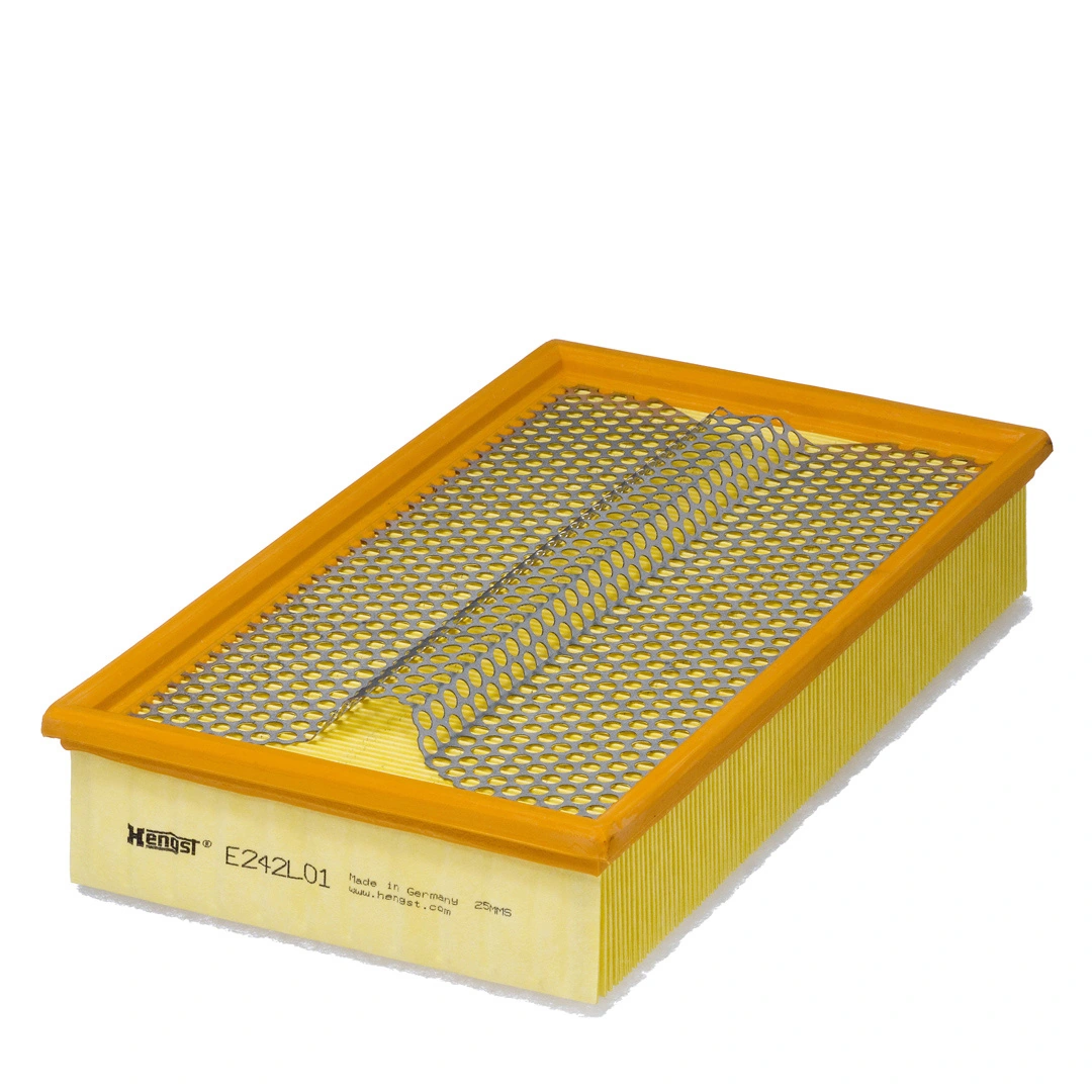 Air Filter E242L01