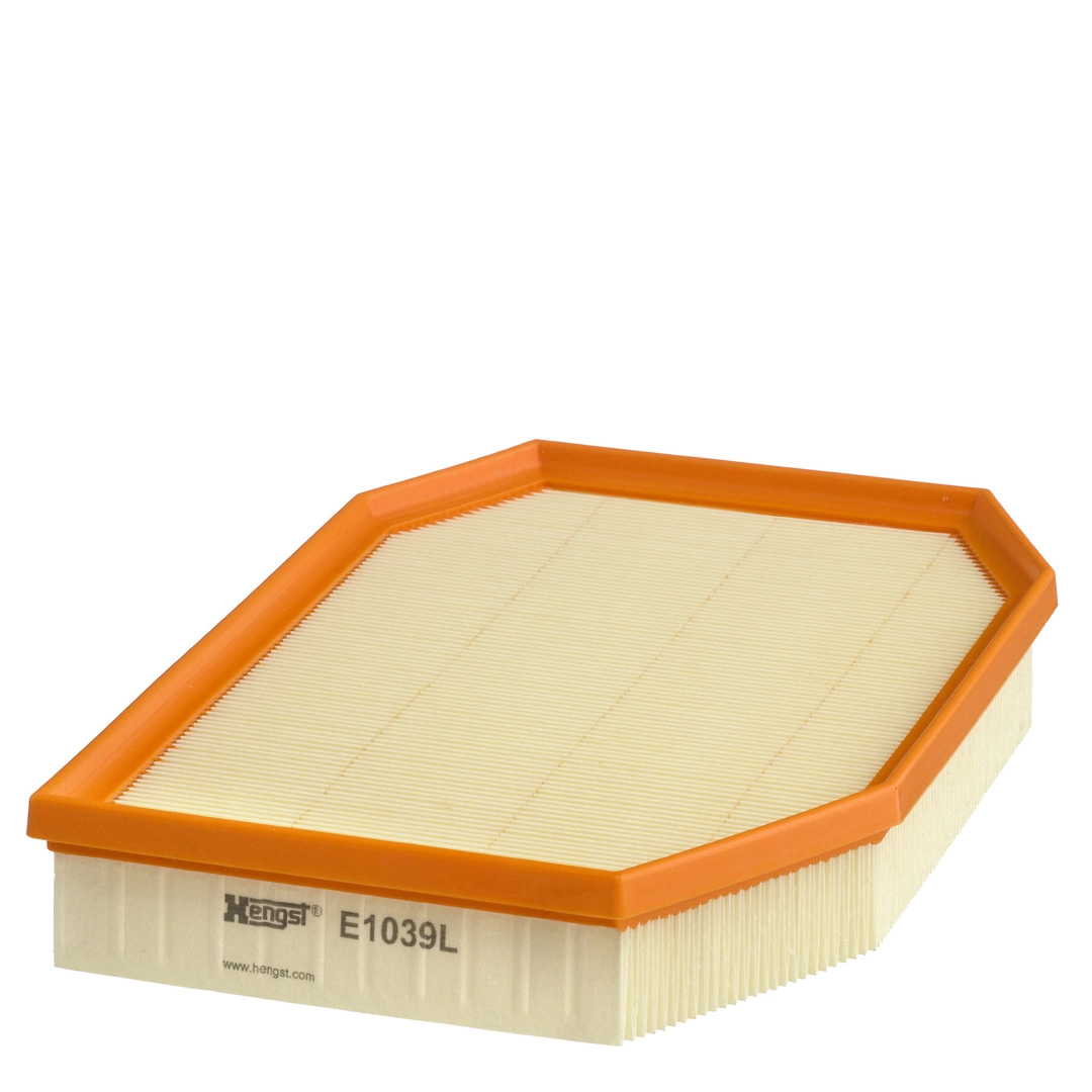 Air Filter E1039L