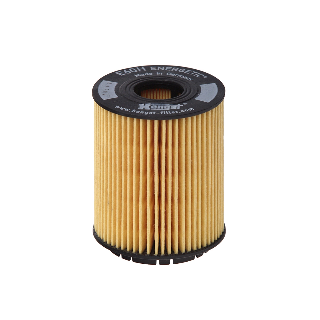 Oil Filter E60H D110