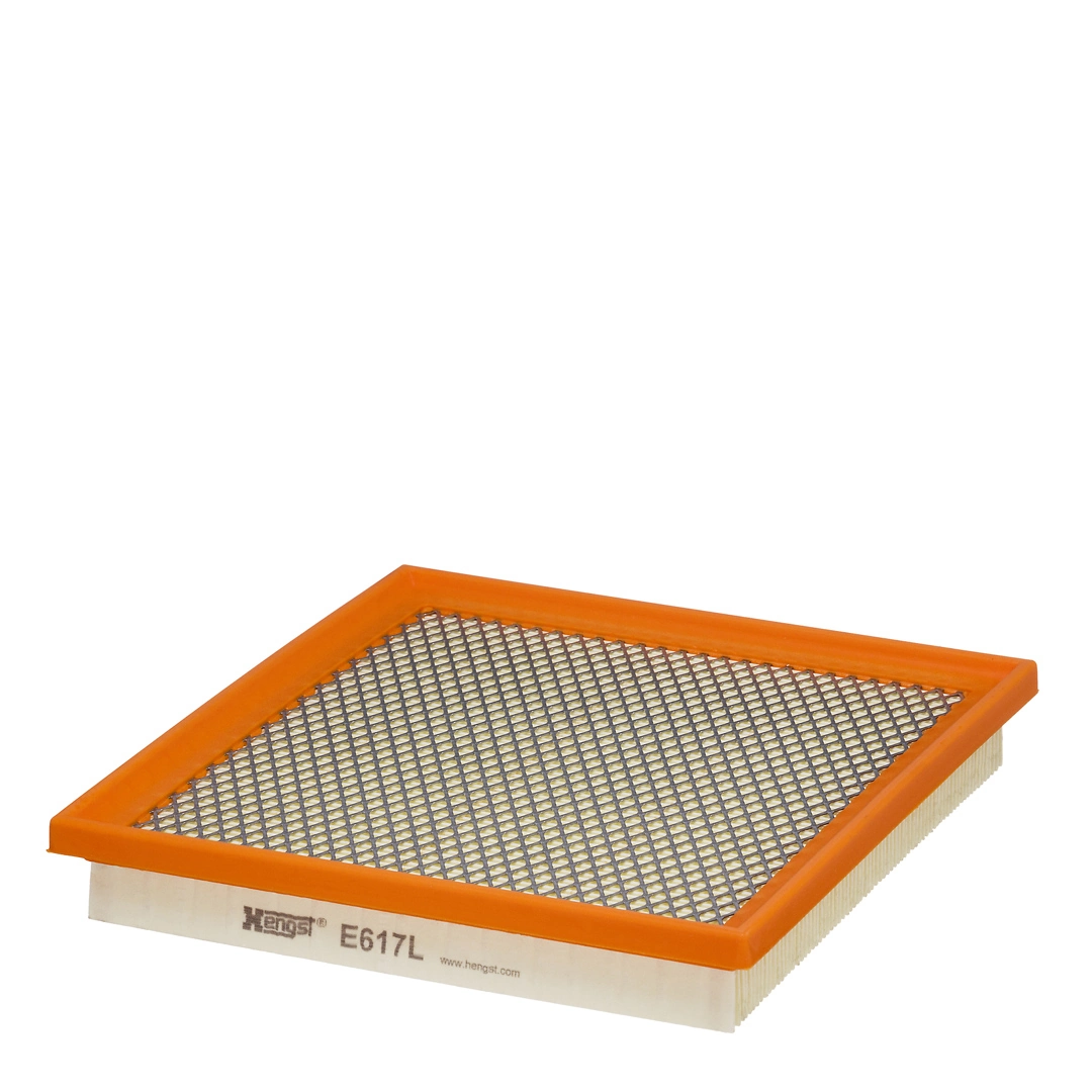 Air Filter E617L