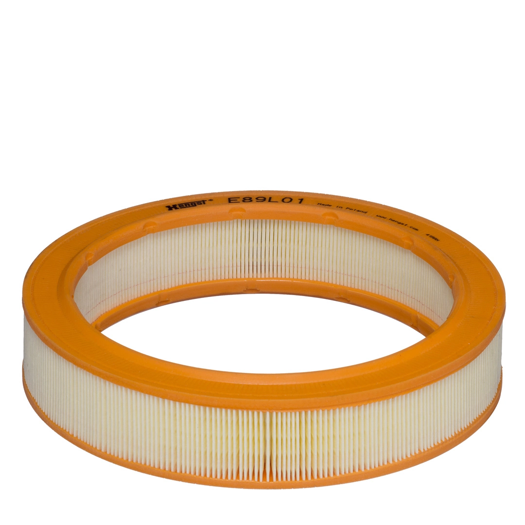 Air Filter E89L01