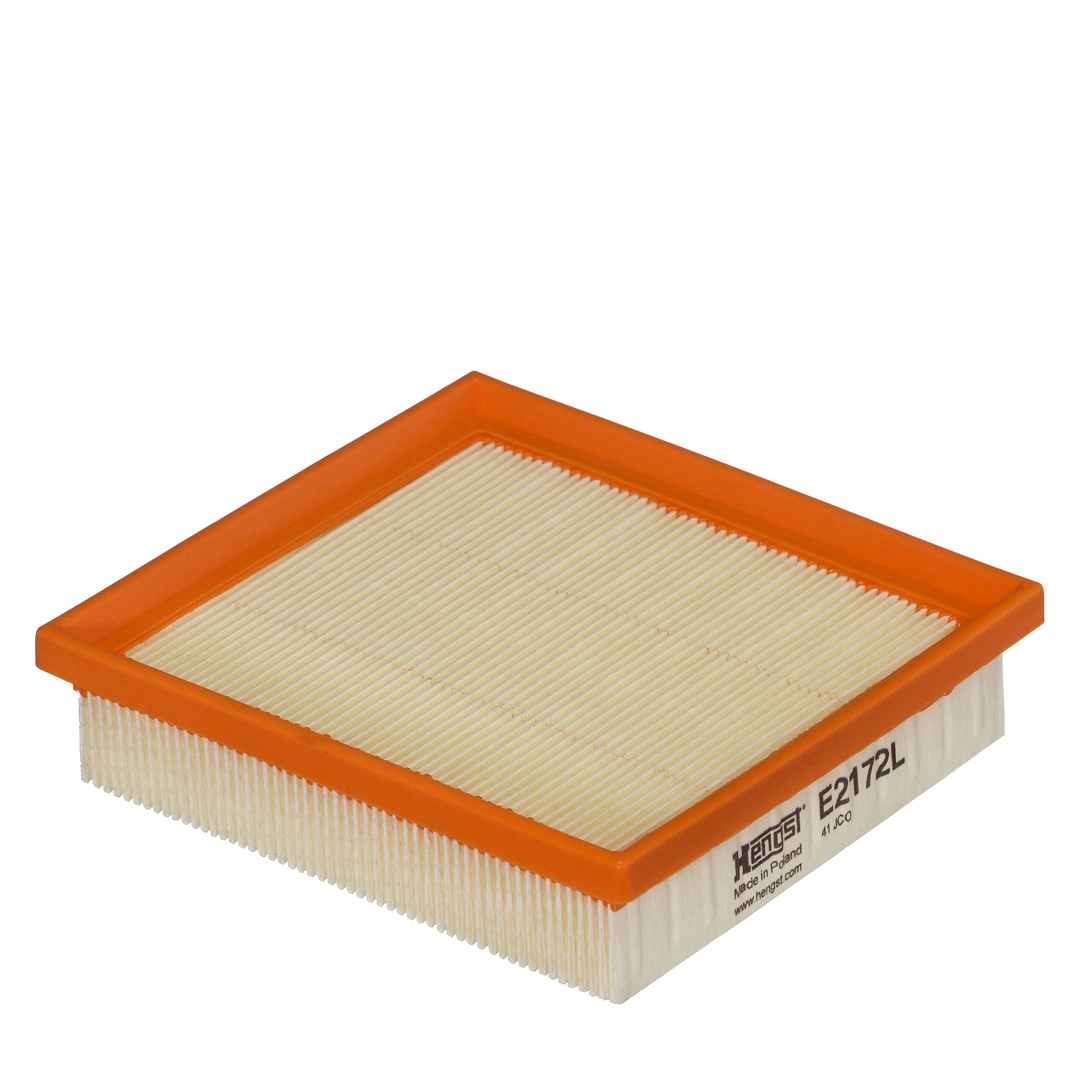 Air Filter E2172L