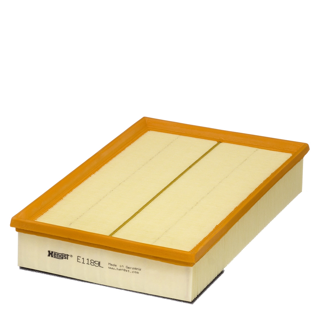 Air Filter E1189L