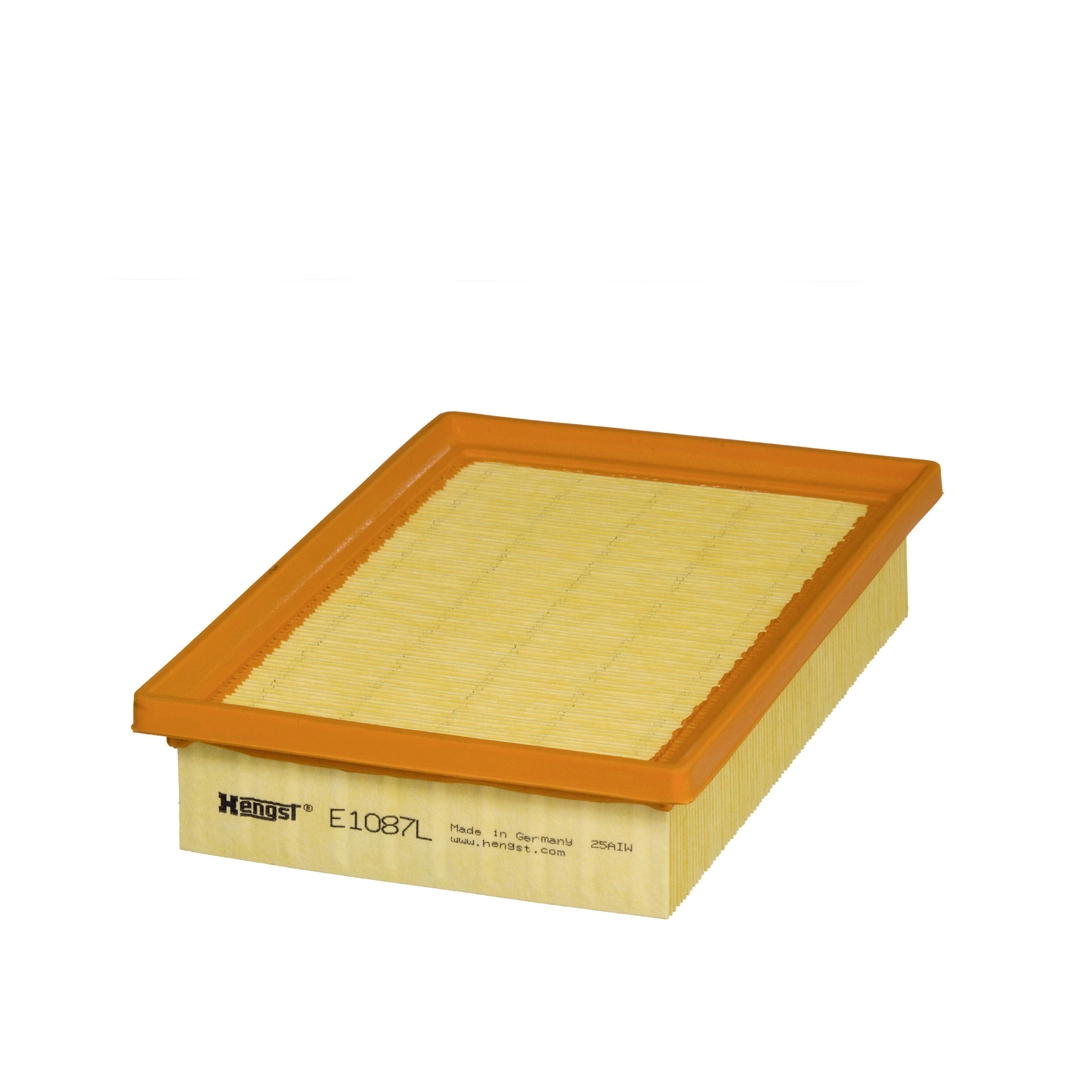 Air Filter E1087L
