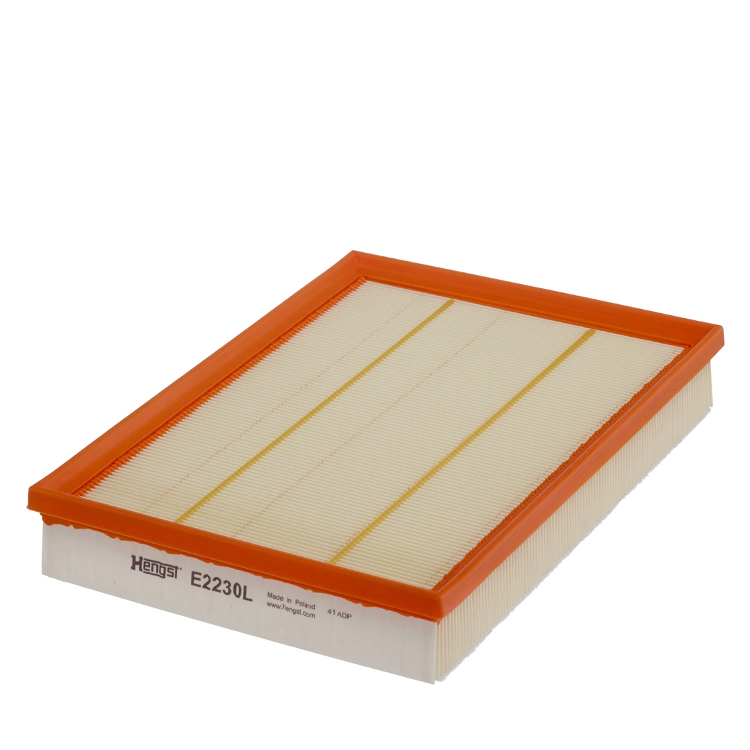 Air Filter E2230L