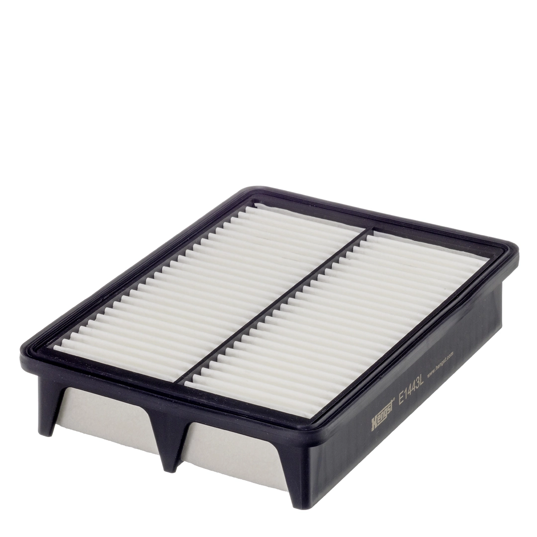 Air Filter E1443L