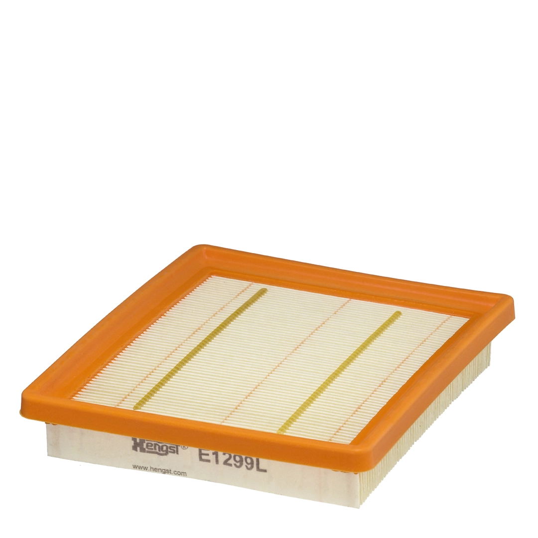 Air Filter E1299L