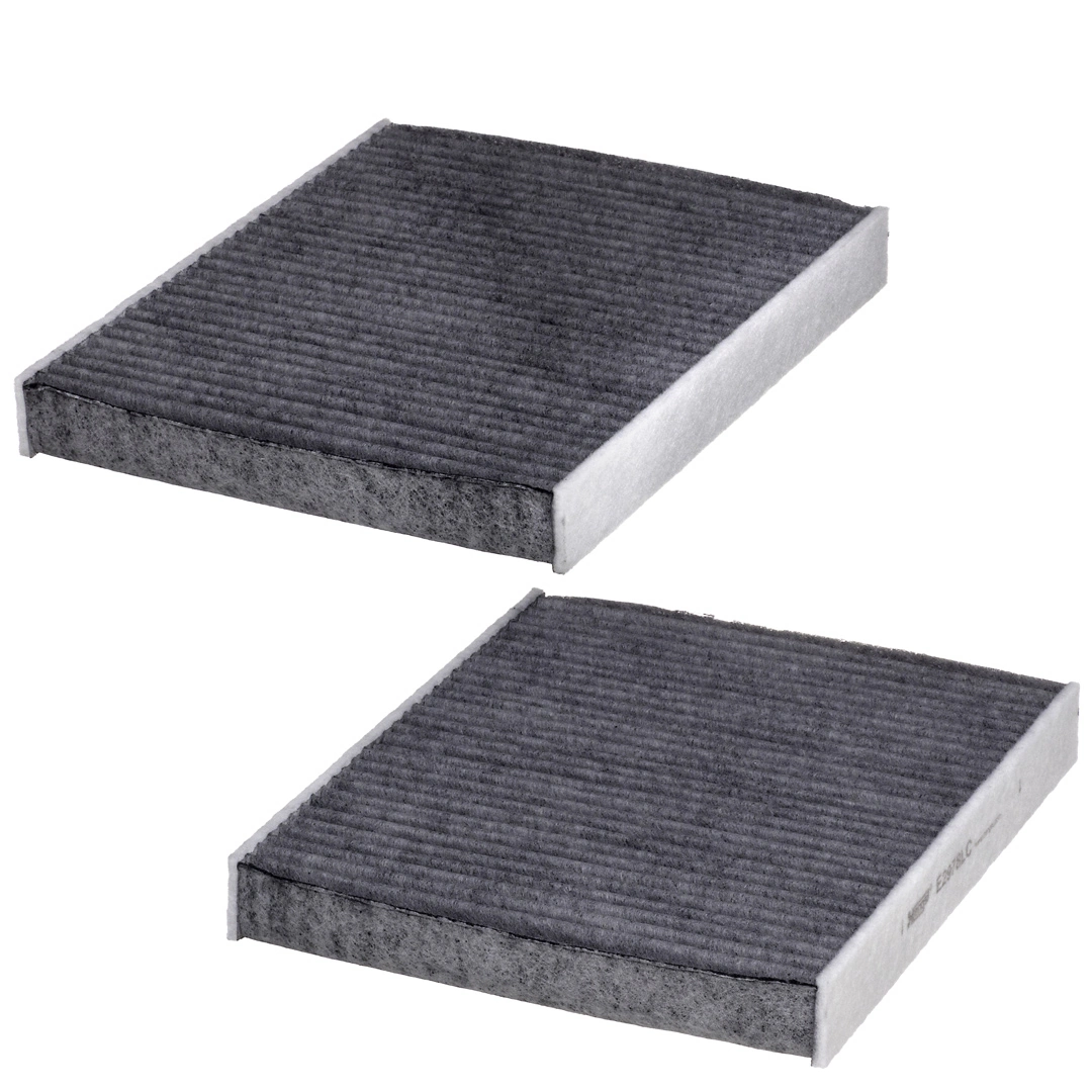 Filter, cabin air E2978LC-2