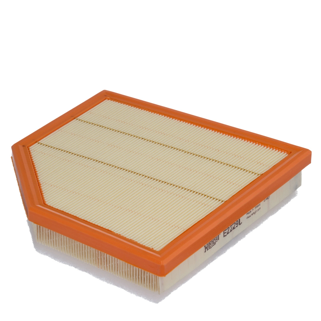 Air Filter E2229L