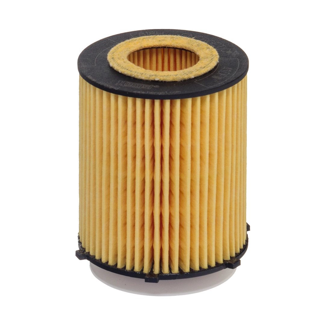 Oil Filter E818H D238