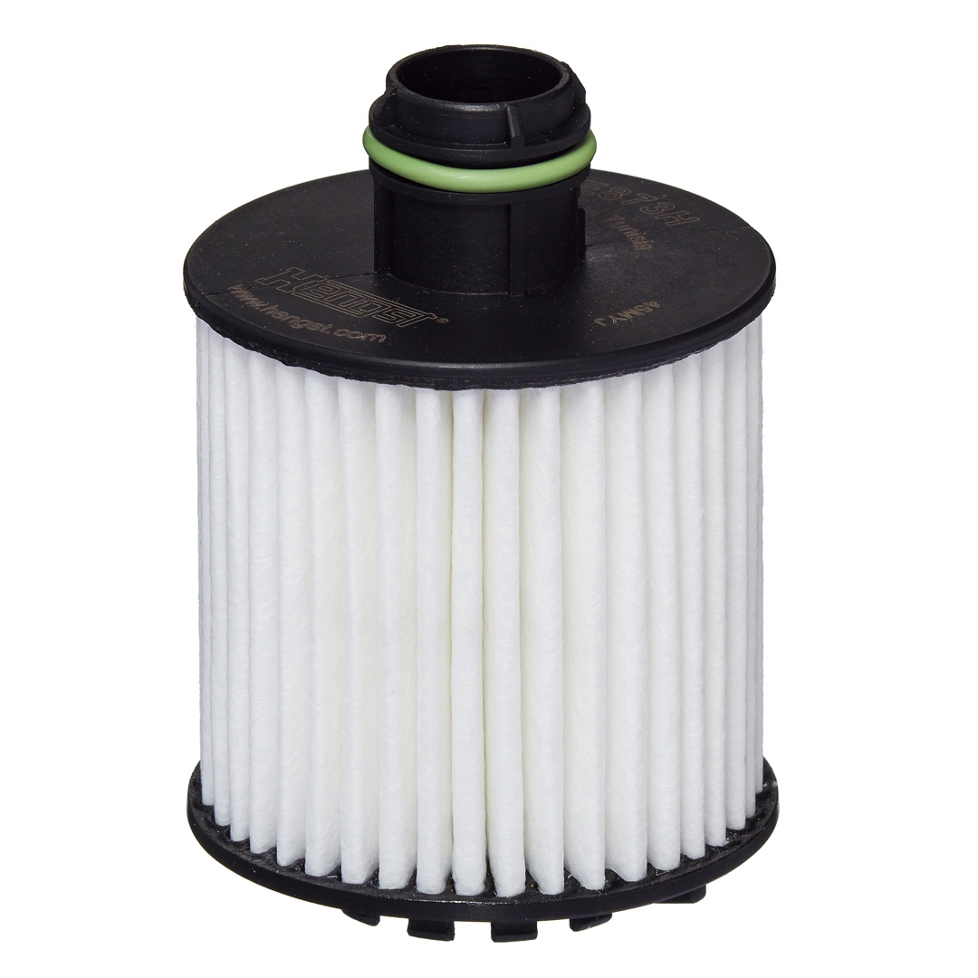 Oil Filter E873H D377