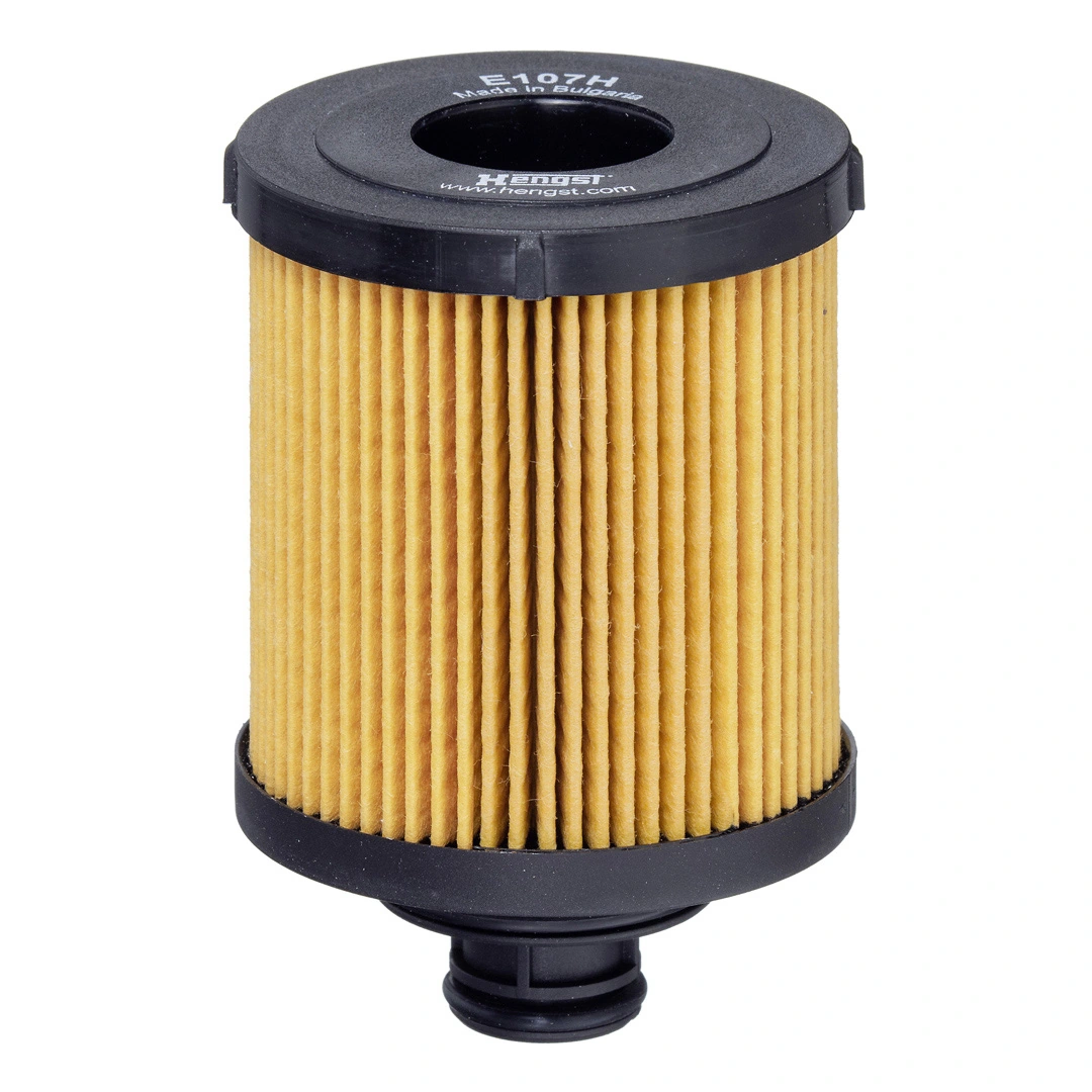 Oil Filter E107H D166