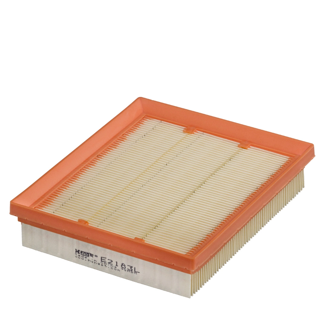 Air Filter E2183L
