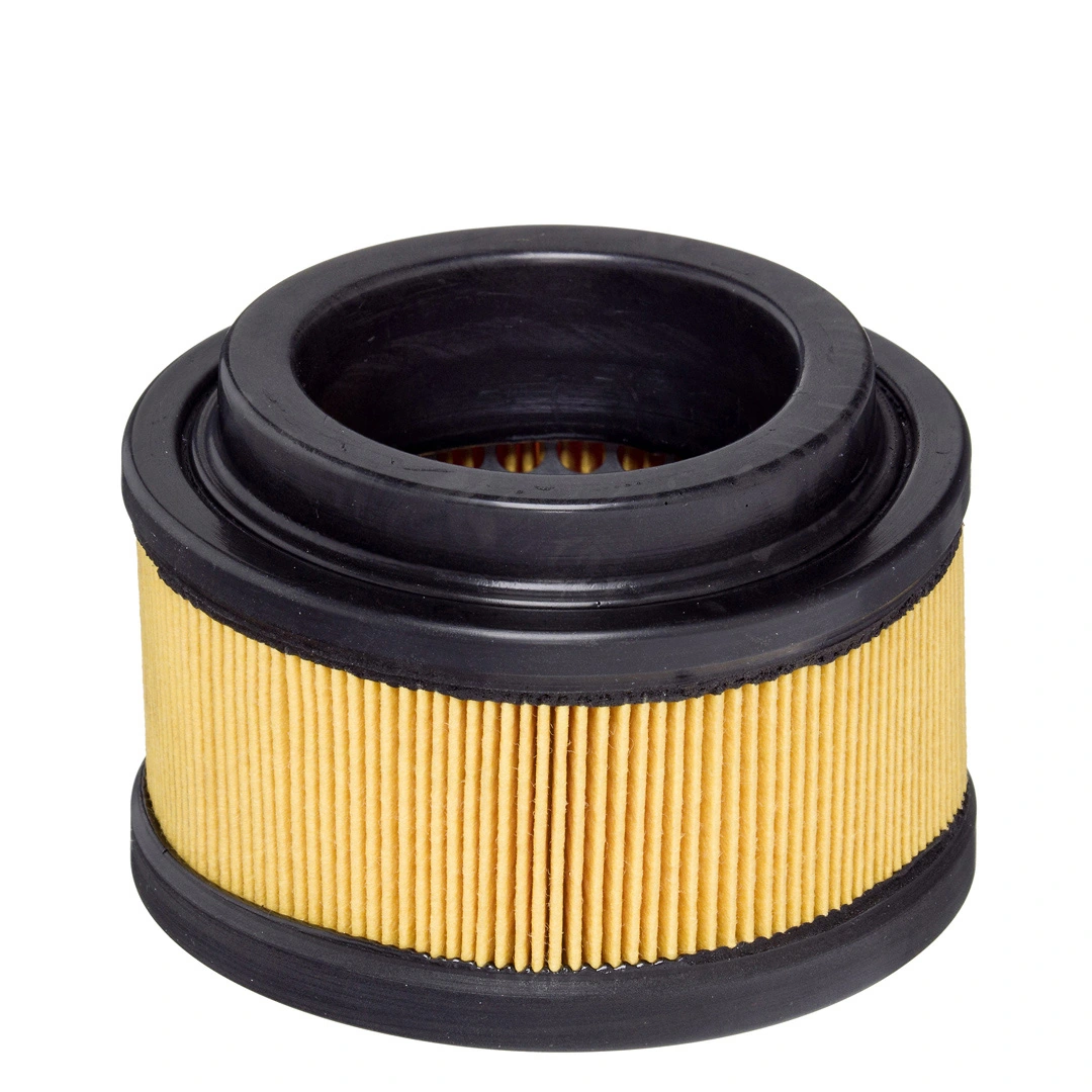 Air Filter E1655L